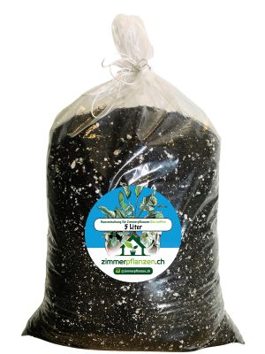 Hausmischung für Zimmerpflanzen Bio torffrei 5L
