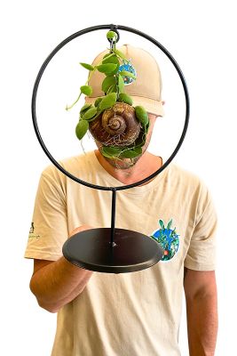 Snaily Schneckenhaus- Pflanze Circle