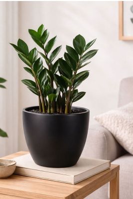 Sven - Ø24xH22cm - Schwarz