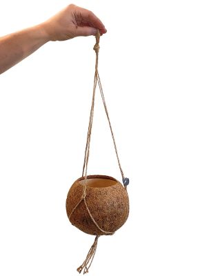 Hänger Kokodama - Ø17xH13cm