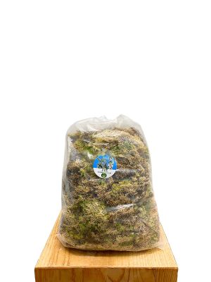 Sphagnum Moos 100g - Frisch