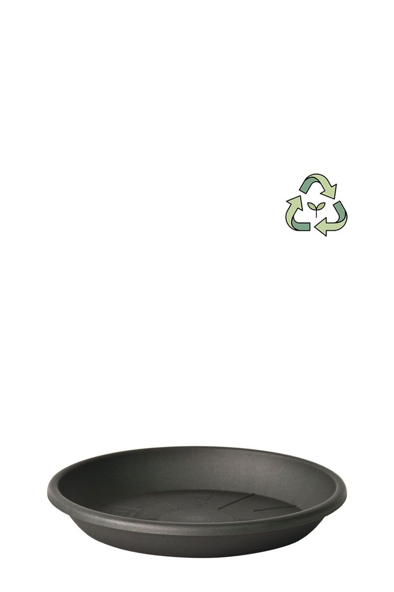 Ø26cm